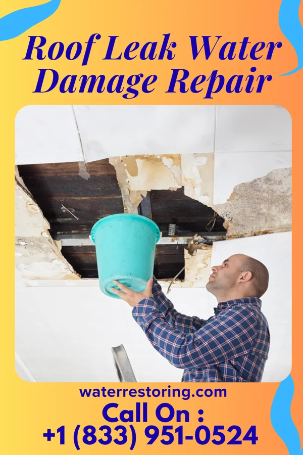 Roof Leak Water Damage Repair in Oakland, IL
