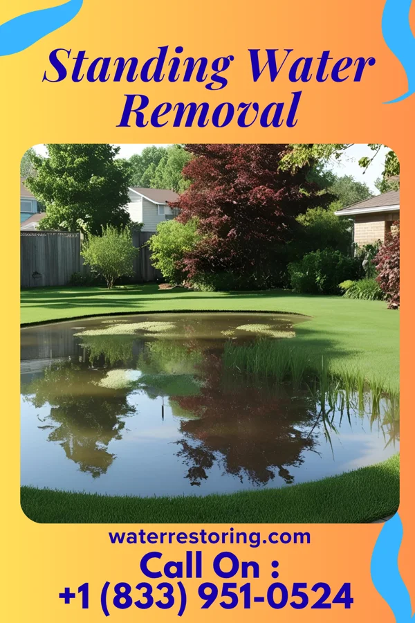 Standing Water Removal in Oakland, IL